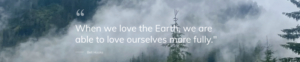 Nature And Forest Therapy - Association of Nature & Forest Therapy
