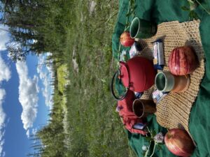 Nature And Forest Therapy - Association of Nature & Forest Therapy