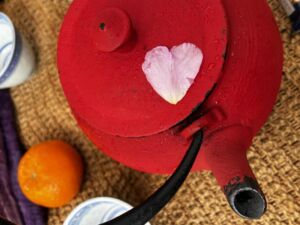 Nature And Forest Therapy - Association of Nature & Forest Therapy