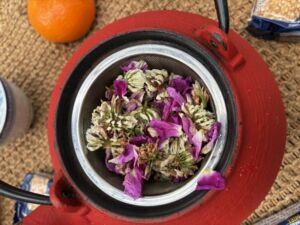 Nature And Forest Therapy - Association of Nature & Forest Therapy