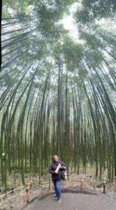 Nature And Forest Therapy - Association of Nature & Forest Therapy