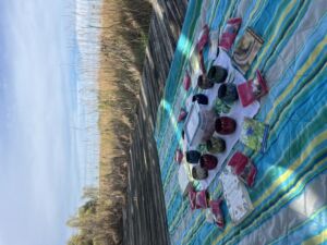 Nature And Forest Therapy - Association of Nature & Forest Therapy