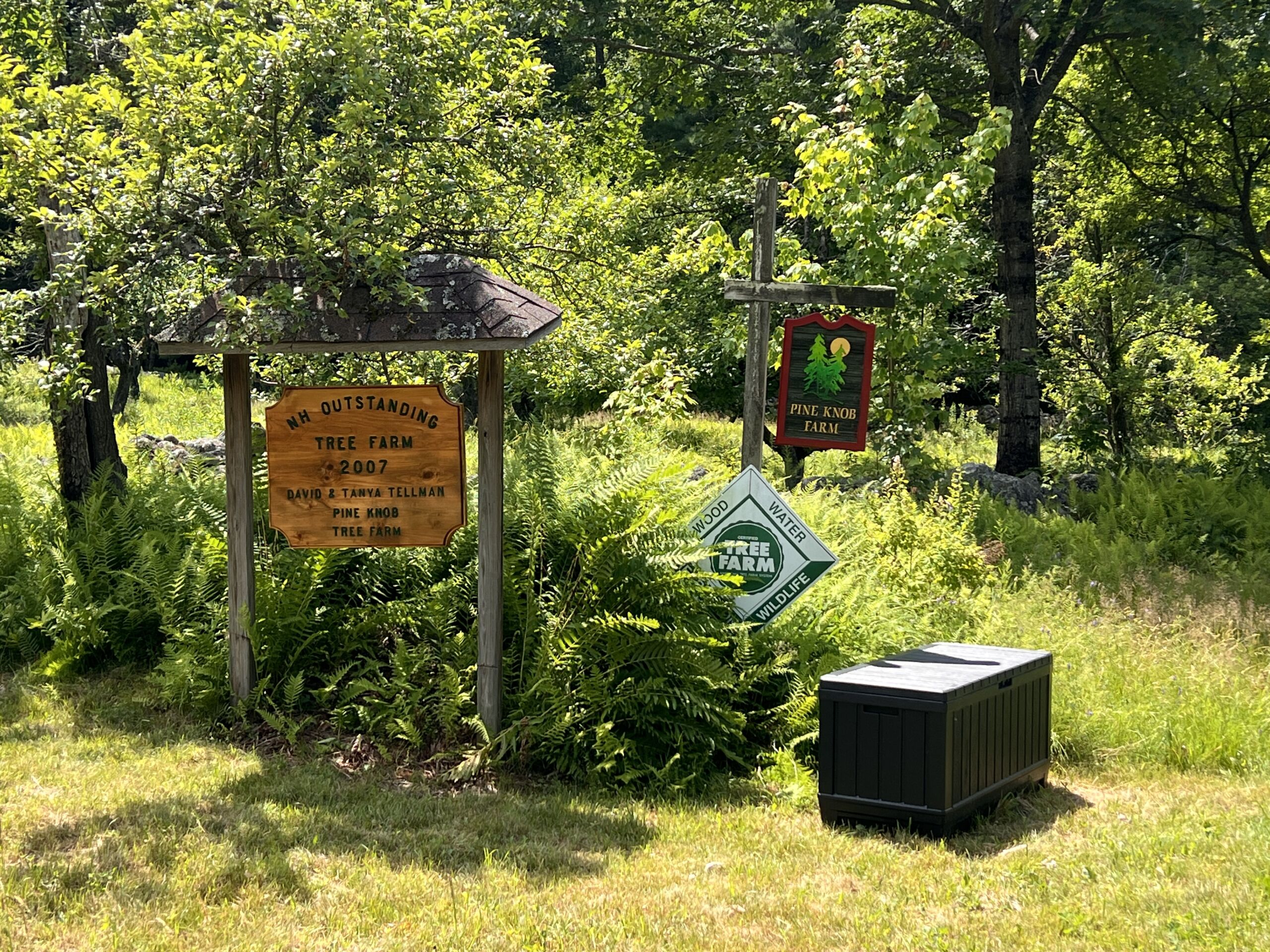 Nature And Forest Therapy - Association of Nature & Forest Therapy