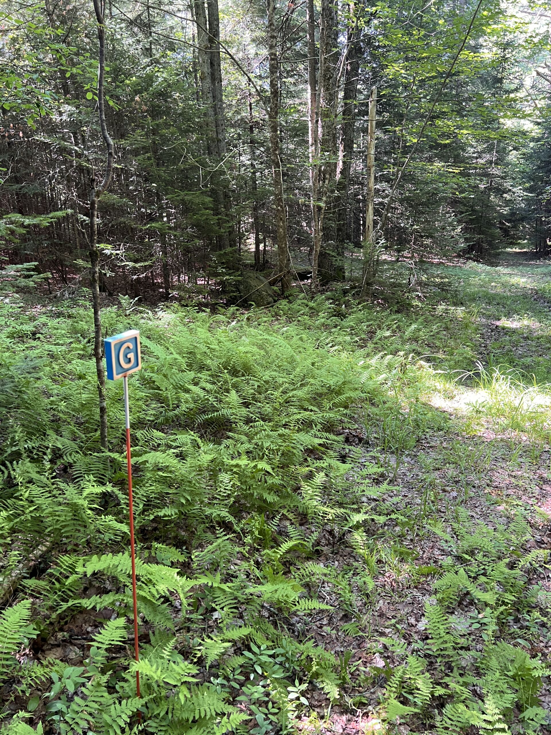 Nature And Forest Therapy - Association of Nature & Forest Therapy