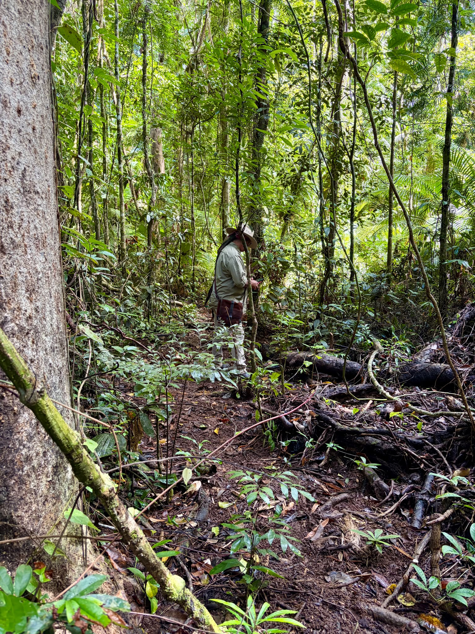 A World of Listening: Celebrating a Global Weekend of Forest Bathing and Soundwalks - Association of Nature & Forest Therapy