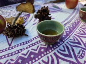 Come Wander With Me - Association of Nature & Forest Therapy