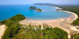 DCIM100MEDIADJI 0056.JPG - Association of Nature & Forest Therapy