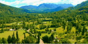 Chile immersion 0 - Association of Nature & Forest Therapy