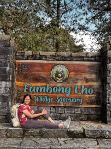 Association of Nature & Forest Therapy
