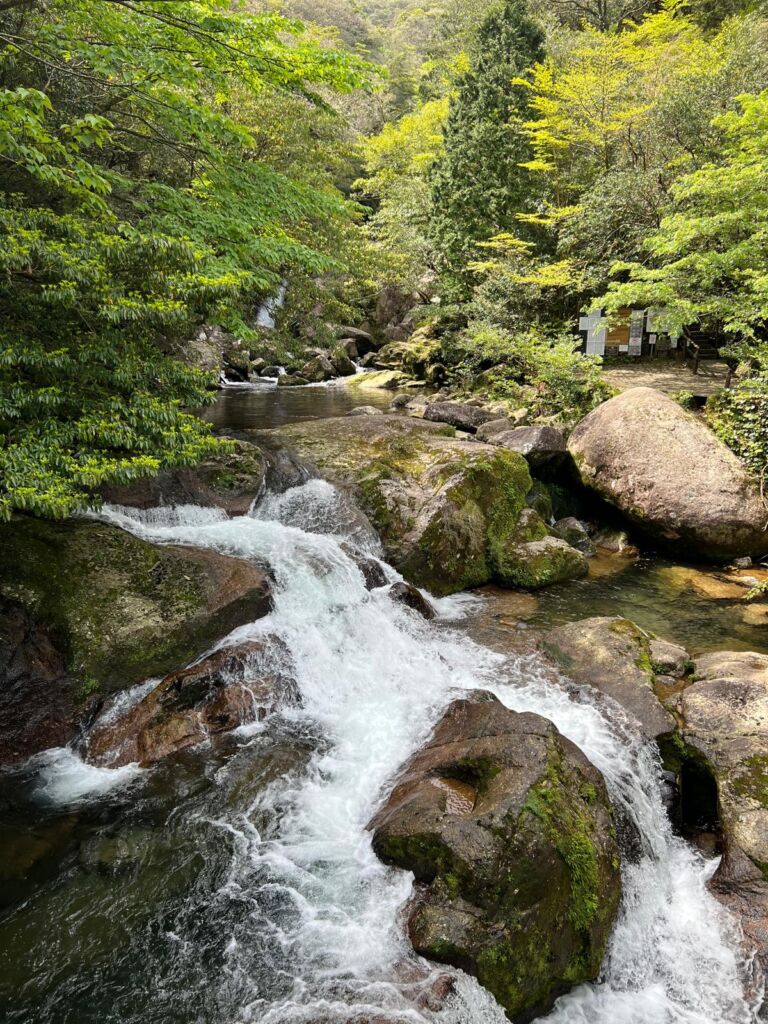Japan 2 - Association of Nature & Forest Therapy