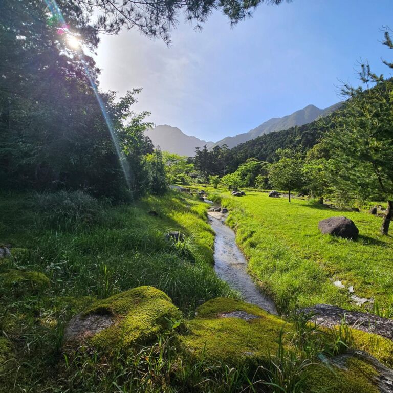 Japan, Yakushima – Shikino Yado - Association of Nature & Forest Therapy
