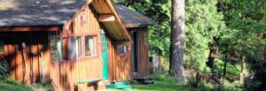 Xenia 1 - Association of Nature & Forest Therapy