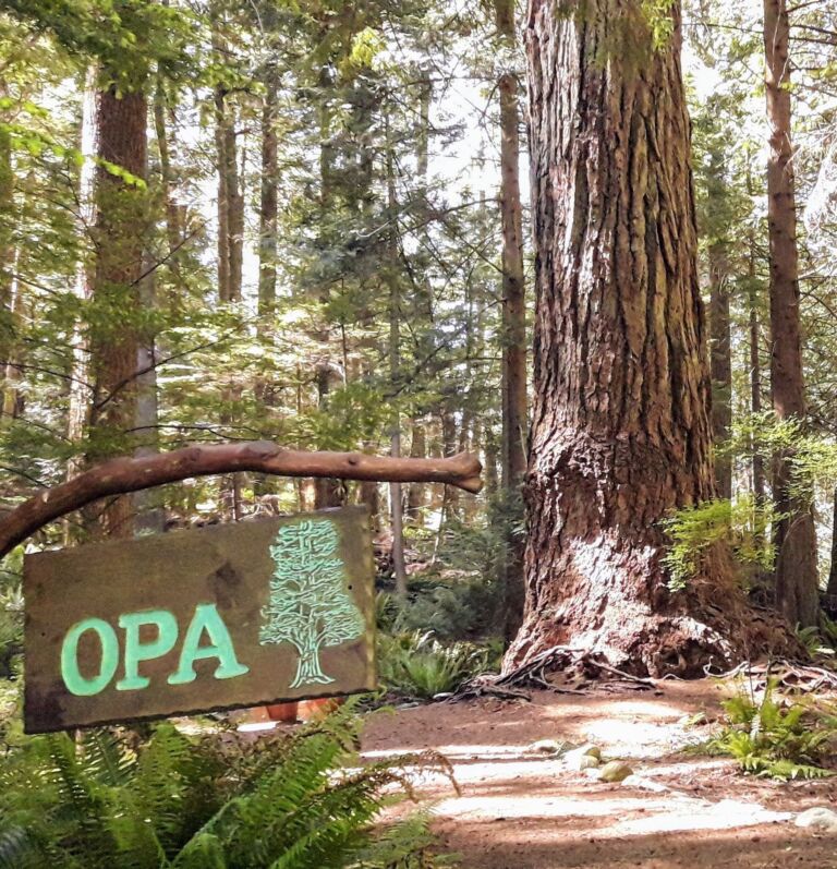Xenia 2 - Association of Nature & Forest Therapy