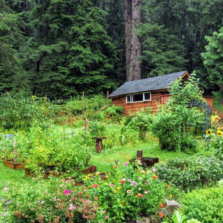 Xenia 4 - Association of Nature & Forest Therapy