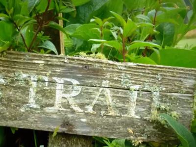 Academy of Place(1) - Association of Nature & Forest Therapy