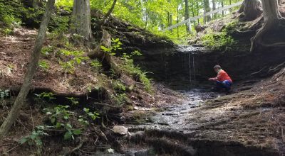 Blood pressure lowering effect of Shinrin yoku (Forest bathing) a systematic review and meta analysis - Association of Nature & Forest Therapy