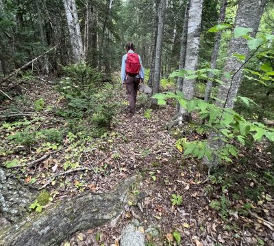 The Bower - Association of Nature & Forest Therapy