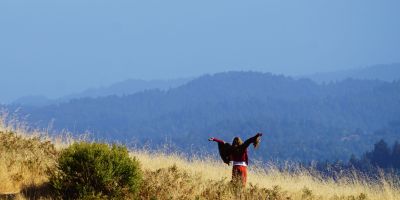 Effect of Forest Therapy on Depression and Anxiety A Systematic Review and Meta Analysis - Association of Nature & Forest Therapy