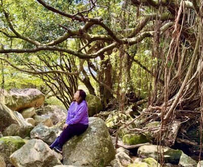 FIRST STEPS INTO FOREST WHO IT IS FOR - Association of Nature & Forest Therapy