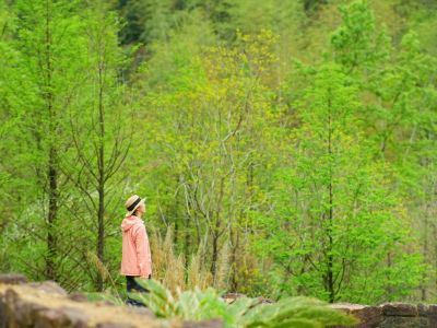 First steps into the forest 2 - Association of Nature & Forest Therapy