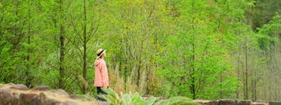 First steps into the forest - Association of Nature & Forest Therapy