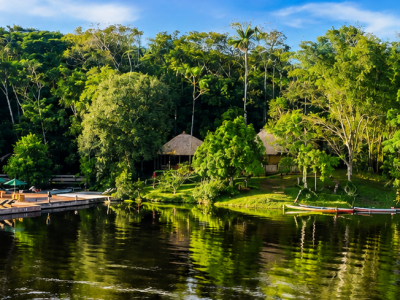 HERO Amazon retreat 6 - Association of Nature & Forest Therapy