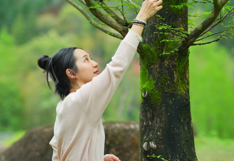 HOME What Is Forest Therapy 2 - Association of Nature & Forest Therapy