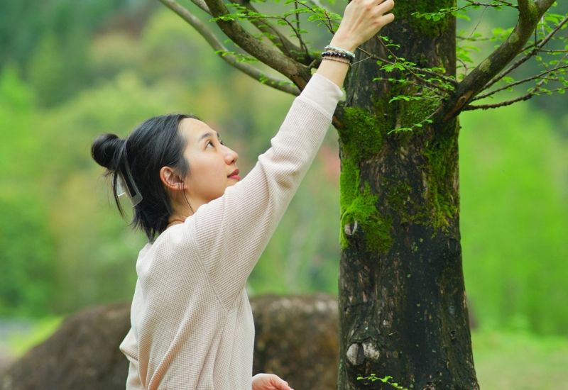 HOME What Is Forest Therapy 2 - Association of Nature & Forest Therapy