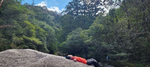 Health and well being benefits of spending time in forests systematic review - Association of Nature & Forest Therapy