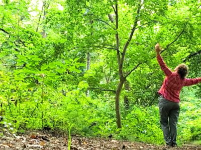 Hero Somatic Work in Partnership with Nature - Association of Nature & Forest Therapy