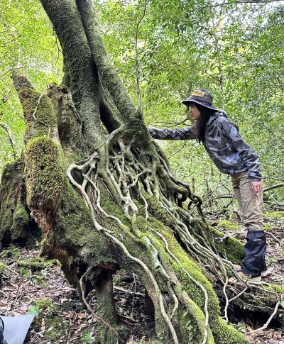 IFB Who Is it For - Association of Nature & Forest Therapy