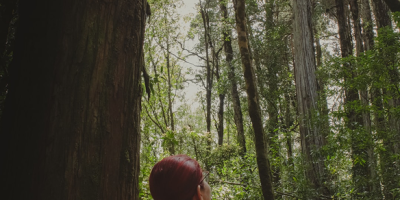 ImageWithFallback (15) - Association of Nature & Forest Therapy
