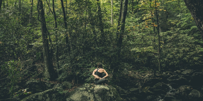 ImageWithFallback (17) - Association of Nature & Forest Therapy