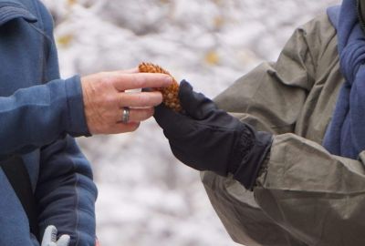Immersions What You Will Experience - Association of Nature & Forest Therapy