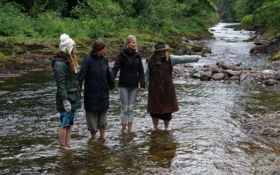 Immersions Who Is This For - Association of Nature & Forest Therapy