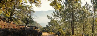Intro Forest Bathing 2 - Association of Nature & Forest Therapy