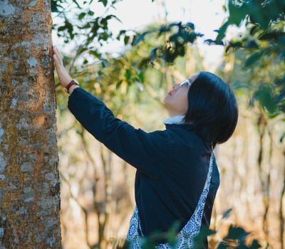 Introduction Forest Bathing What You Will Experience - Association of Nature & Forest Therapy