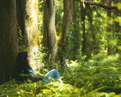 Introduction Forest Bathing Wht Makes This Different - Association of Nature & Forest Therapy