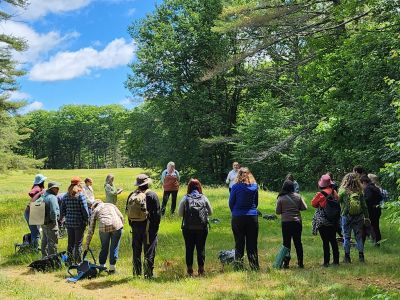 Relational Forest Therapy Academy - Association of Nature & Forest Therapy