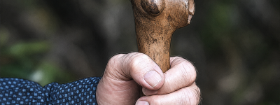 Opus academy - Association of Nature & Forest Therapy