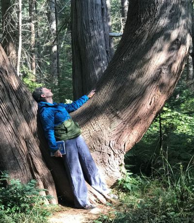 Relational Forest Therapy Who It Is For - Association of Nature & Forest Therapy
