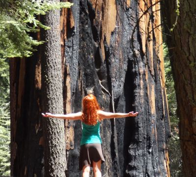 Relational Forest Therapy Why Join Us - Association of Nature & Forest Therapy