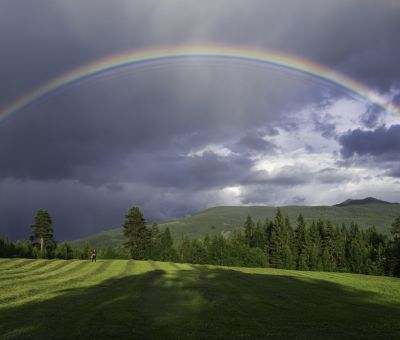 Relational Forest Therapy What Makes This Different - Association of Nature & Forest Therapy