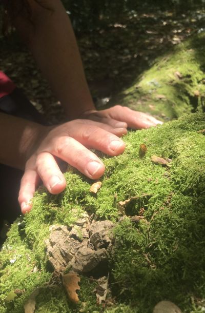 Relational Forest Therapy What You Will Experience - Association of Nature & Forest Therapy
