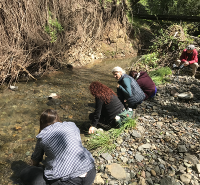 Start In Person What Learn - Association of Nature & Forest Therapy
