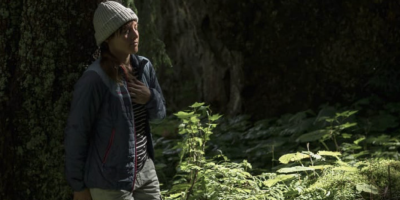The Effects of Forest Therapy on Immune Function - Association of Nature & Forest Therapy