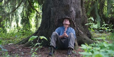 The Psychological and Physical Effects of Forests on Human Health A Systematic Review of Systematic Reviews and Meta Analyses - Association of Nature & Forest Therapy