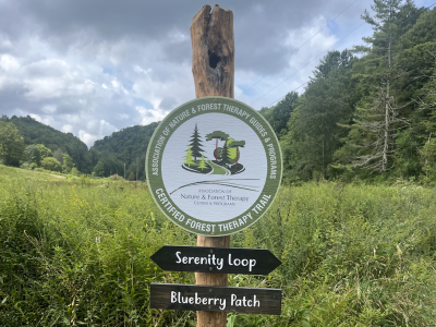 Academy of Place - Association of Nature & Forest Therapy