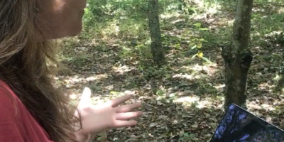 Virtual Forest Bathing - Association of Nature & Forest Therapy