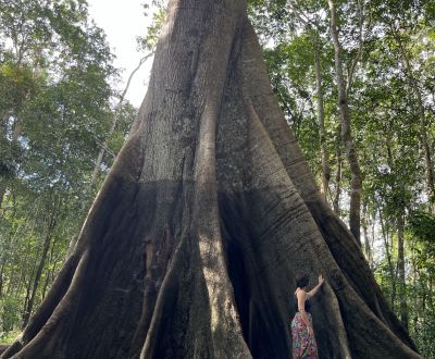WHAT YOU WILL EXPERIENCE Amazon retreat 1 - Association of Nature & Forest Therapy